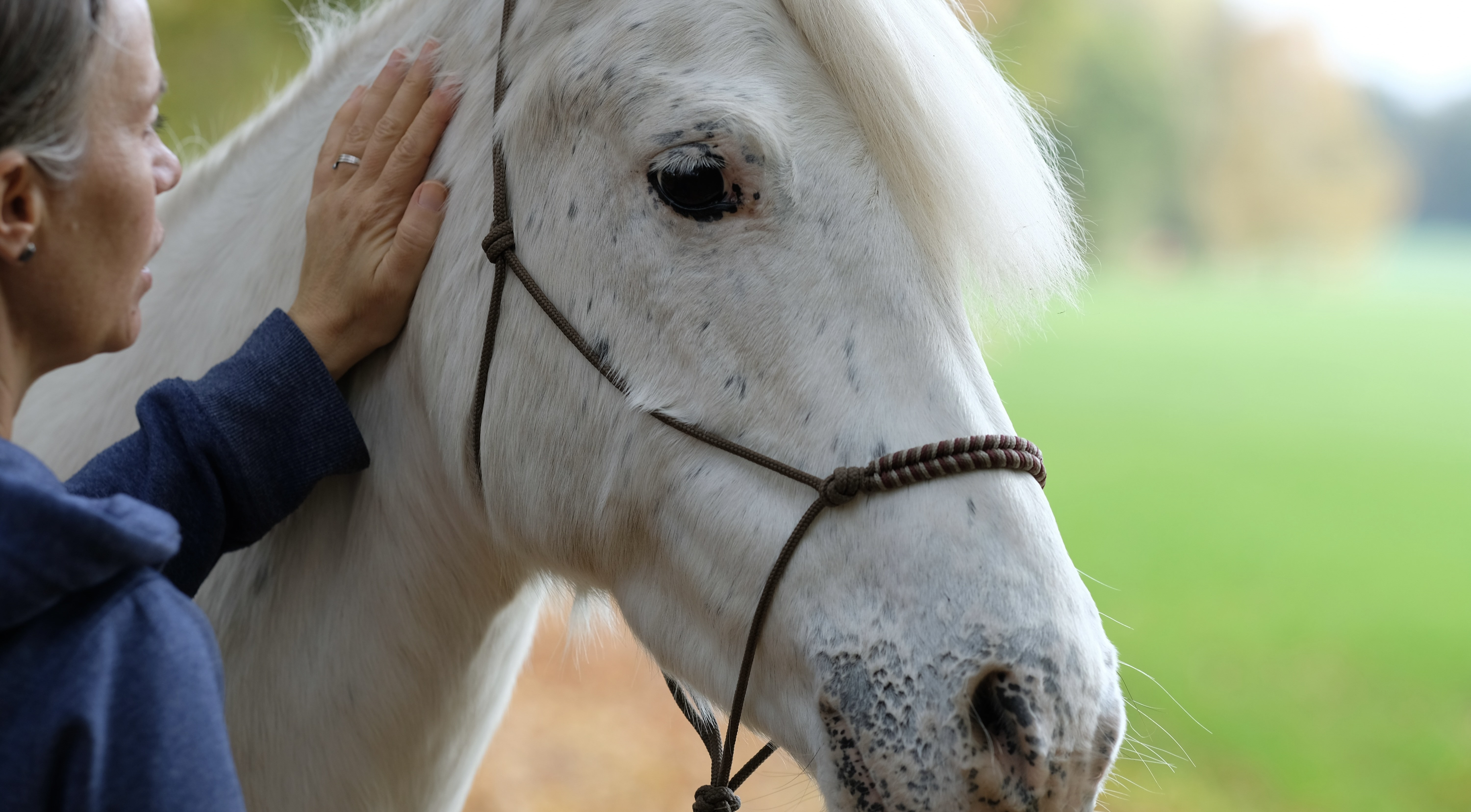 Gemeinsam_in_Bewegung